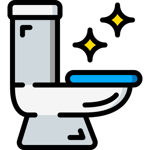 Bathroom Cleaning